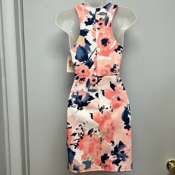 NWT Pink Lily “At First Glance” Floral Printed Dress Size Large - Picture 4 of 12